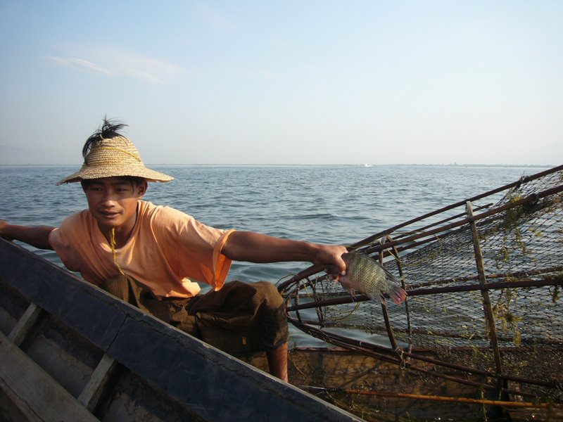 Also the odd real fish. (This guy was happy to pose, though he did demand payment - he didn't get it)